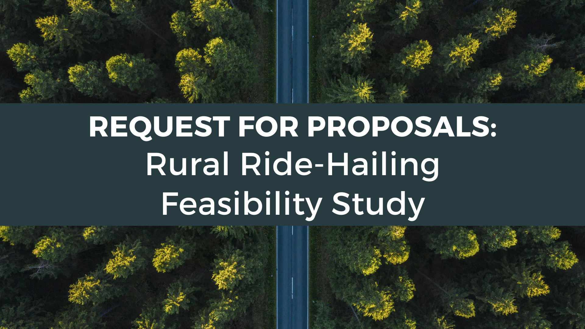 Arial photo of forest with a straight road running through the centre and text reads "Request for Proposals Rural Ride Hailing Feasibility Study"